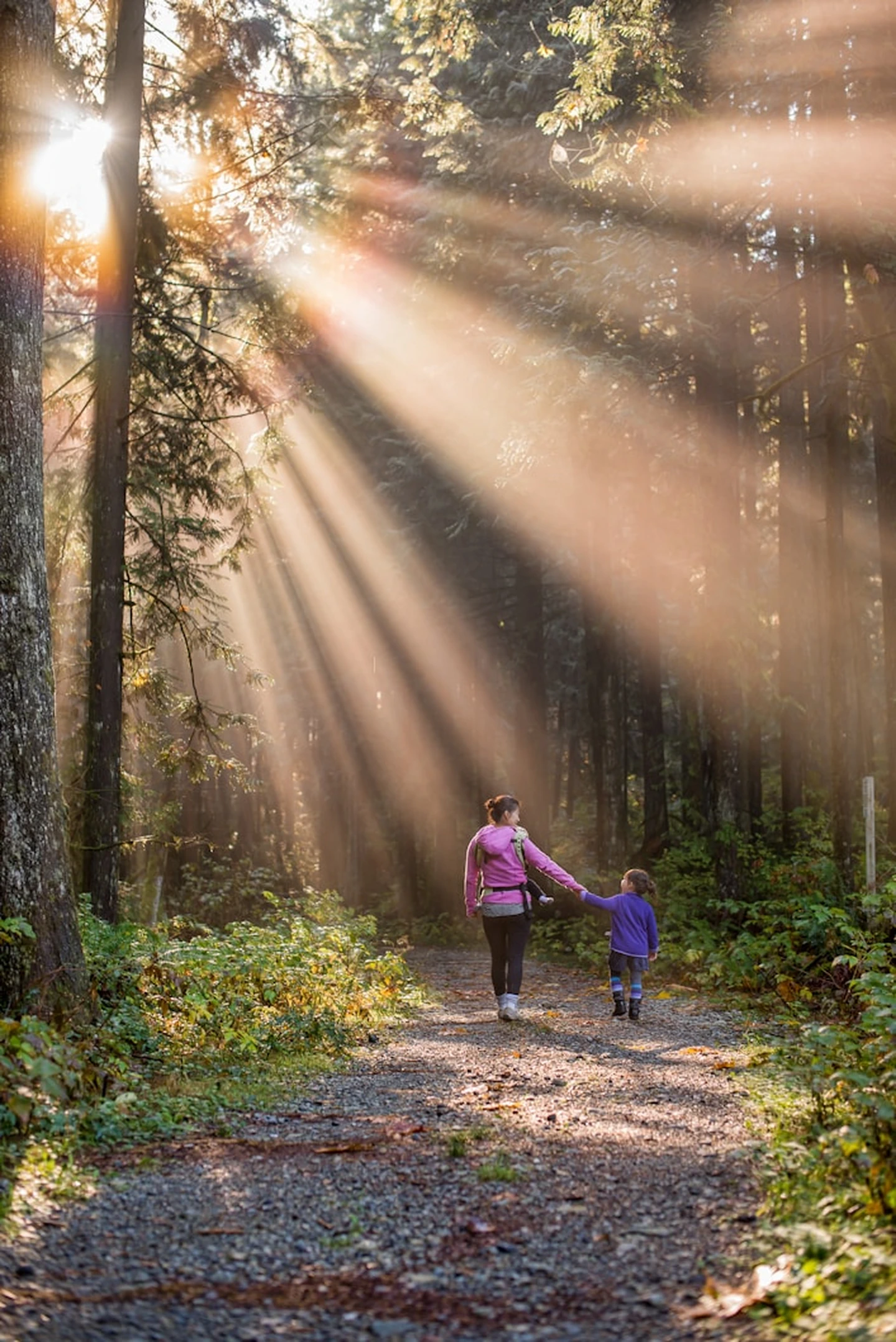 Mom and child holding hands while walking in the forest with sun shining through the trees